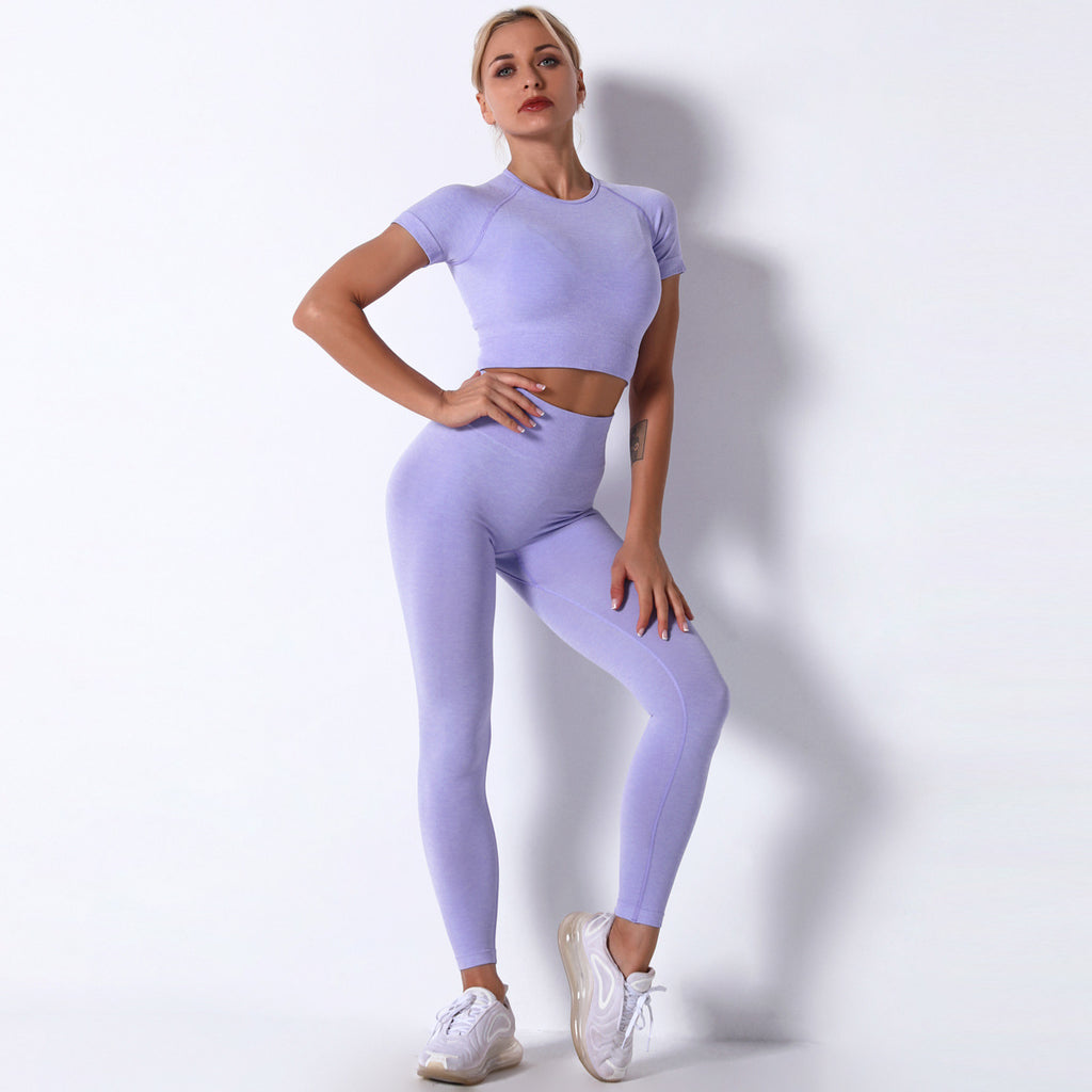 Arrival Seamless Knitted Workout Short Sleeve Trousers Yoga Suit